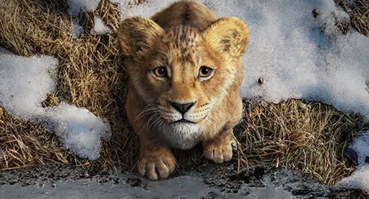 Mufasa, el rey león en CineClub Vilanova