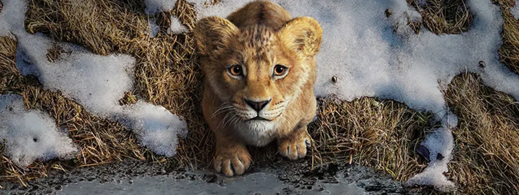 Fotograma de la película en cartelera